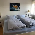 Ute